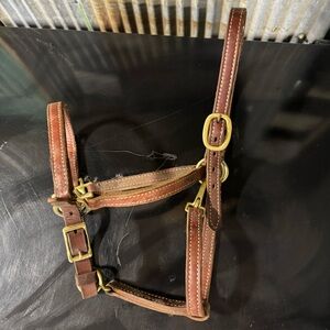 Brown Leather Horse Halter with Gold Buckles